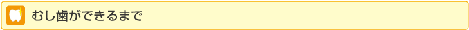 むし歯ができるまで